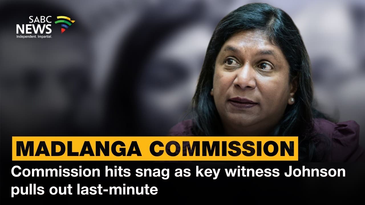 IDAC head will not testify at Madlanga Commission due to illness