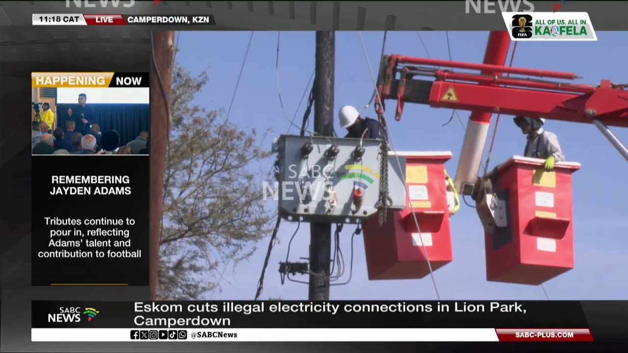 Eskom opens talks after disconnecting illegal power at Lion Park