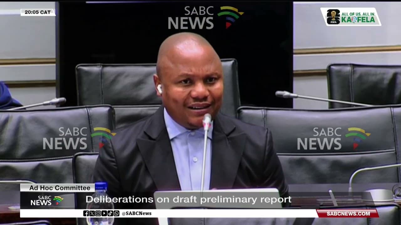 Diko claims ANC views diluted in draft Ad Hoc Committee report