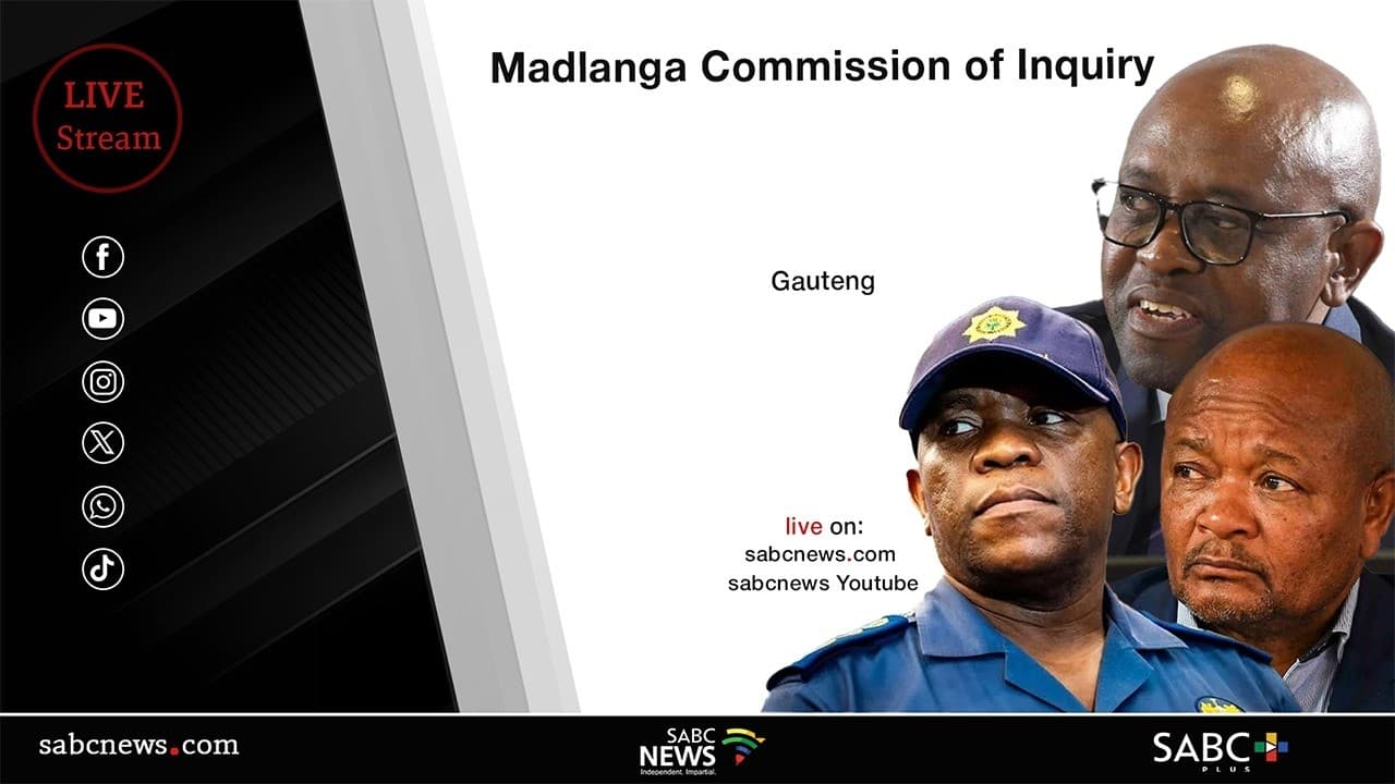 Investigating Masemola in Medicare24 tender was concerning: Ramsamy