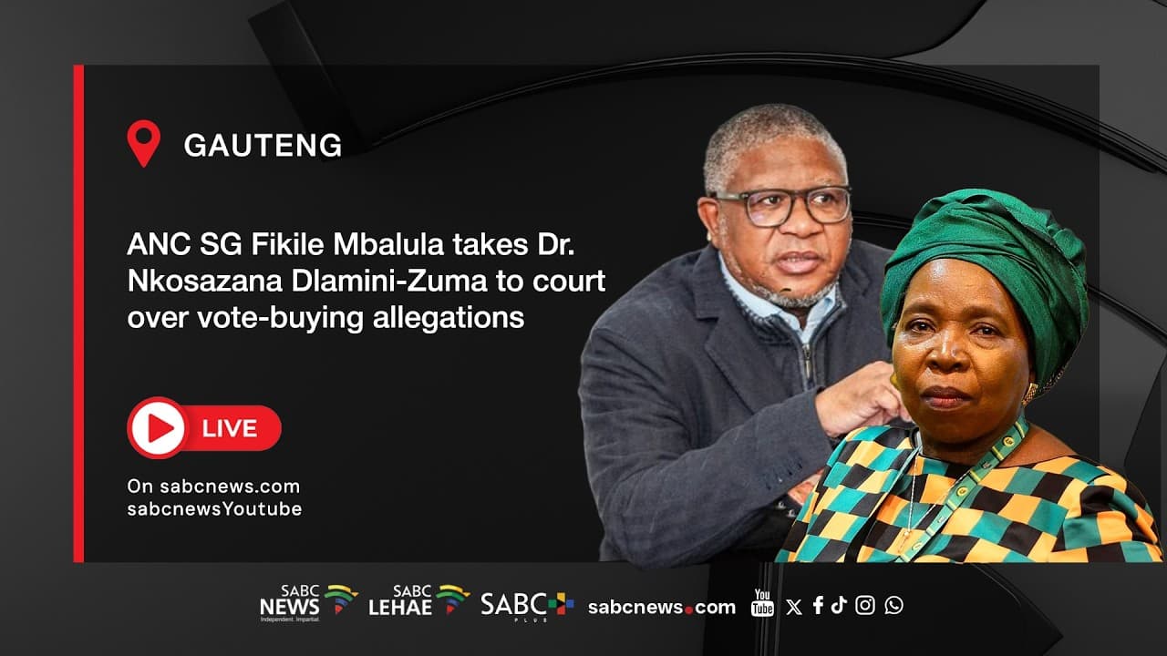 Dlamini-Zuma welcomes oral evidence in defamation case
