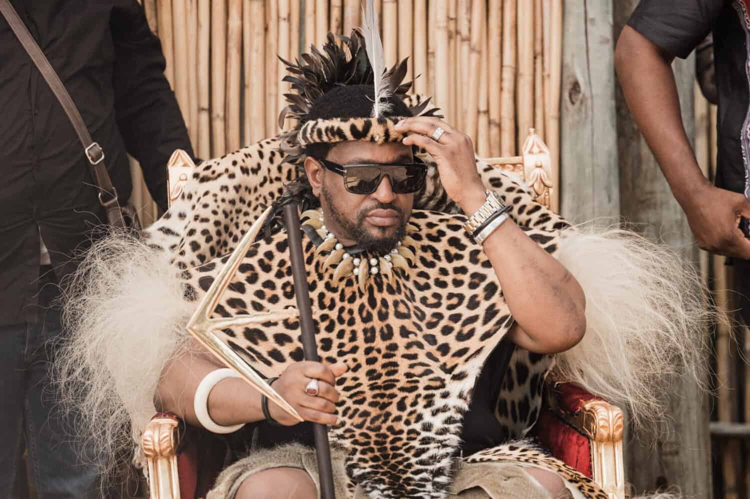 King Misuzulu fires Prime Minister Thulasizwe Buthelezi … again
