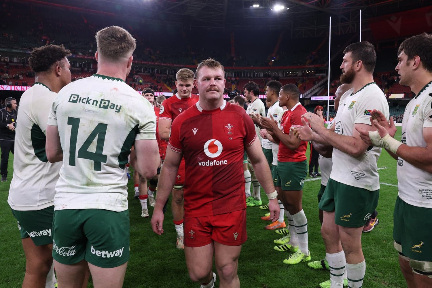 Springboks v Wales: All the stats and facts you need to know