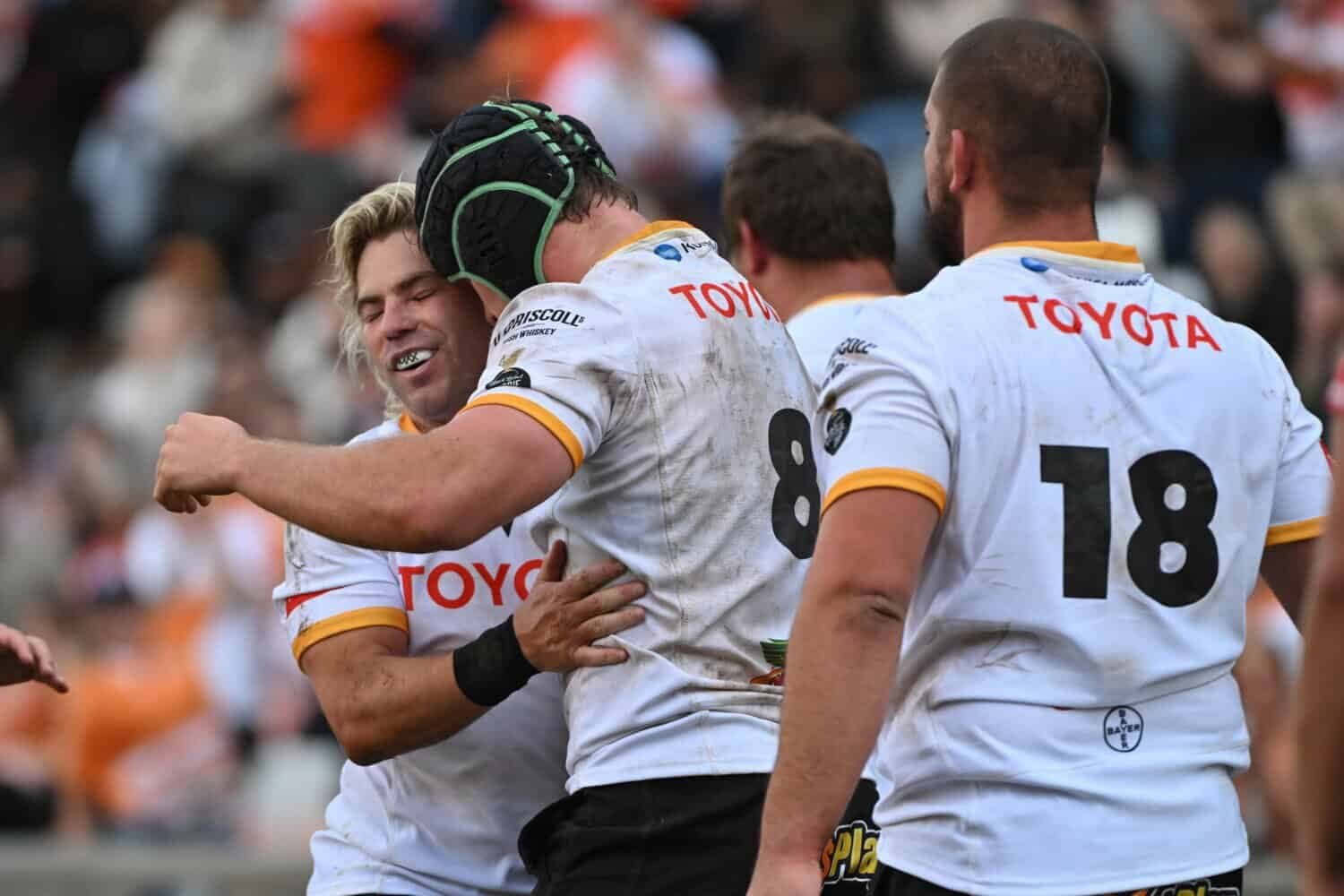 Cheetahs too good for Sharks in Bloemfontein