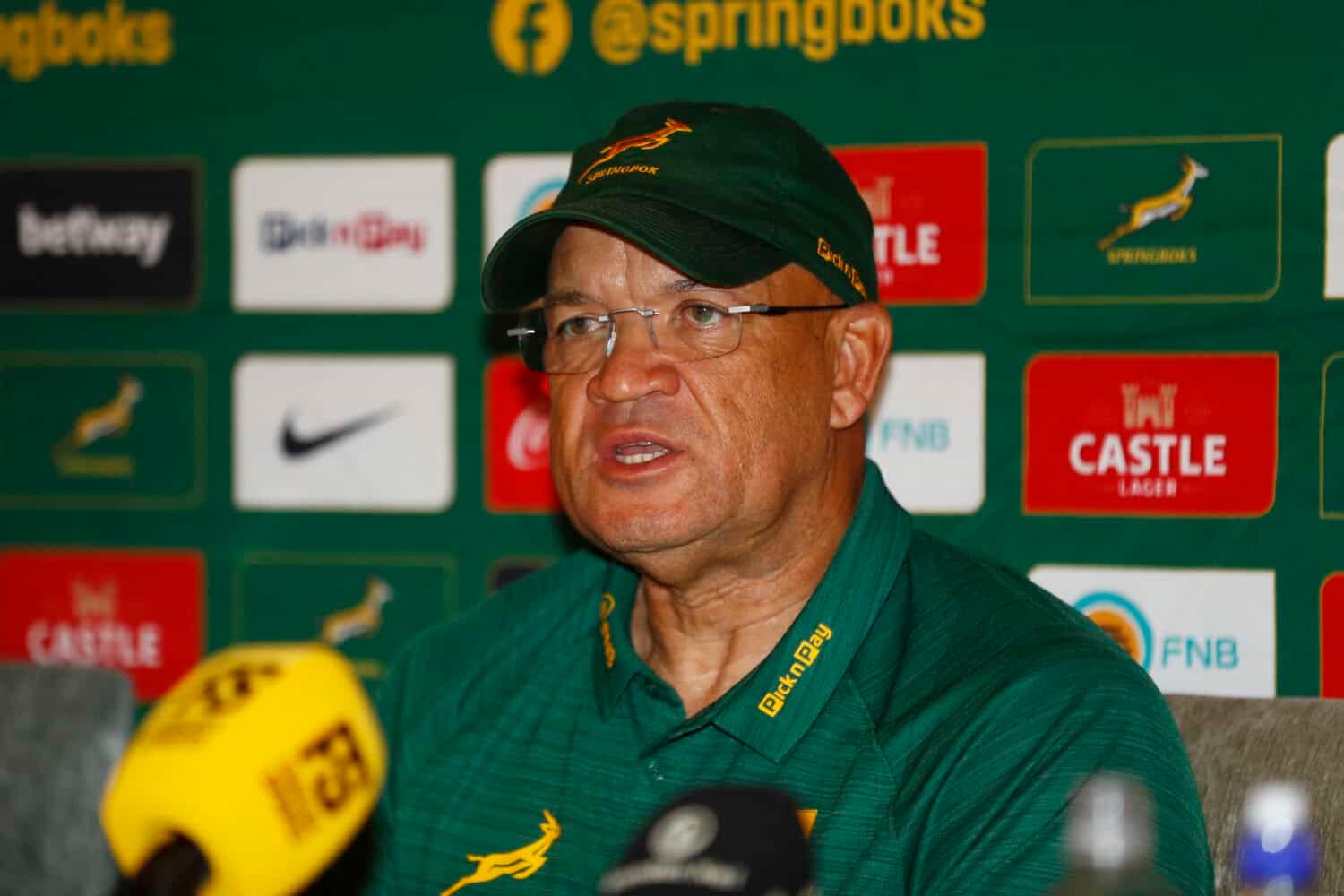 Improving Wales must not be underestimated, says Springboks assistant coach Davids