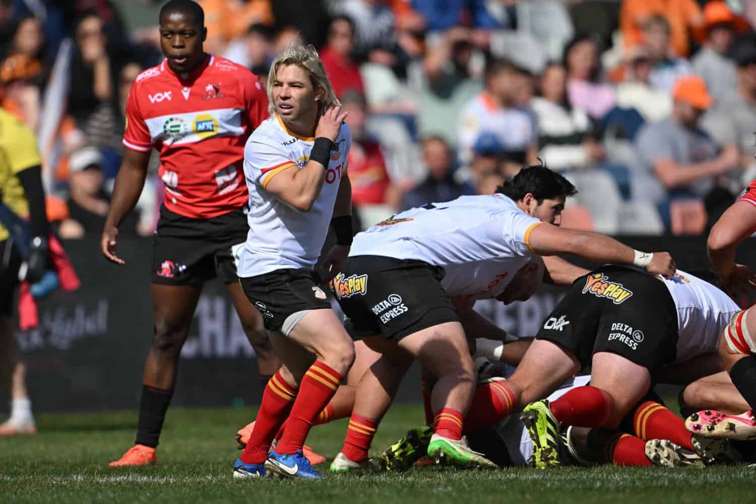Currie Cup roundup: Faf helps Cheetahs edge Lions, Boland shock the Bulls