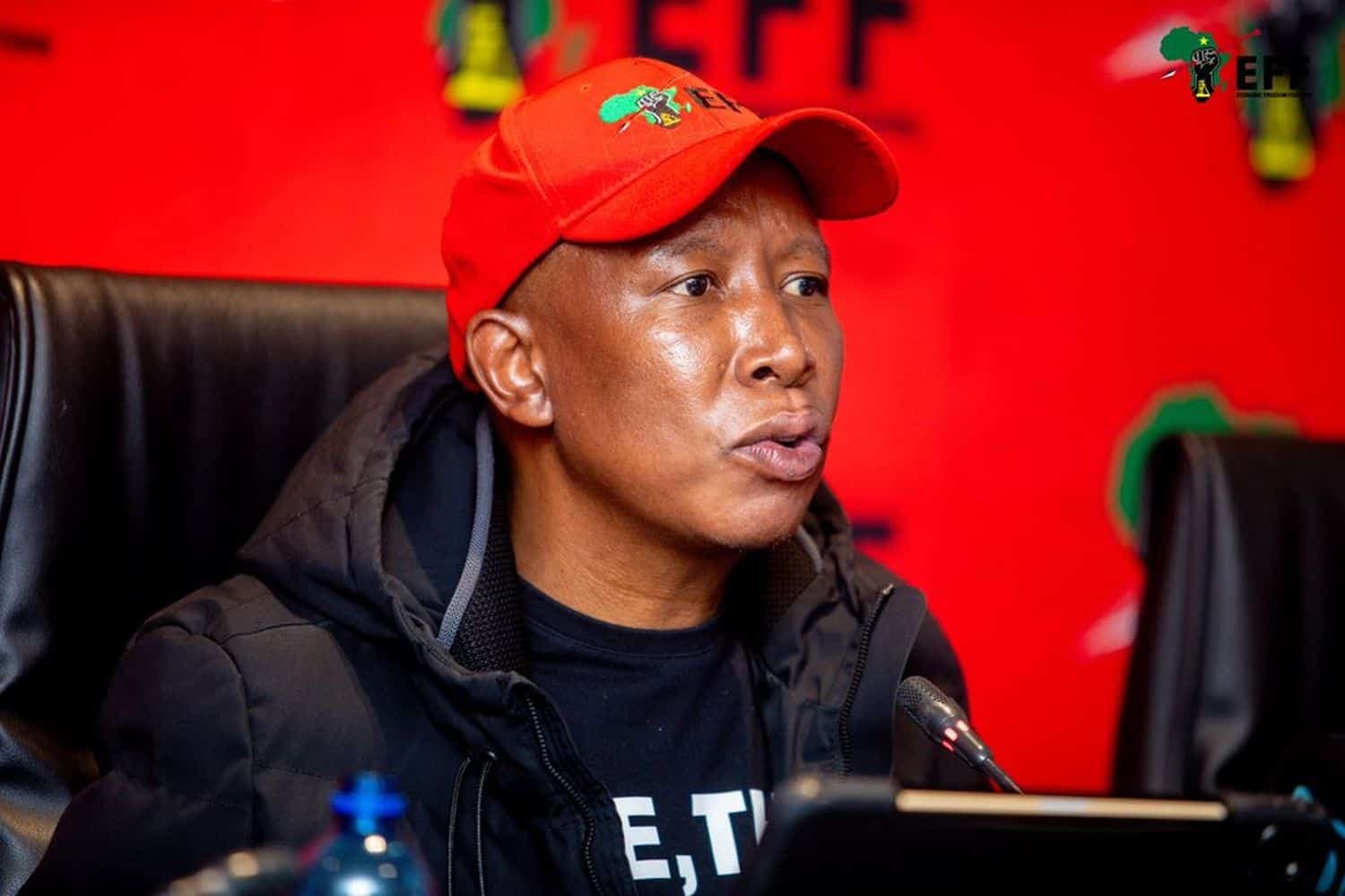 Malema rejects DA and FF+ alliance