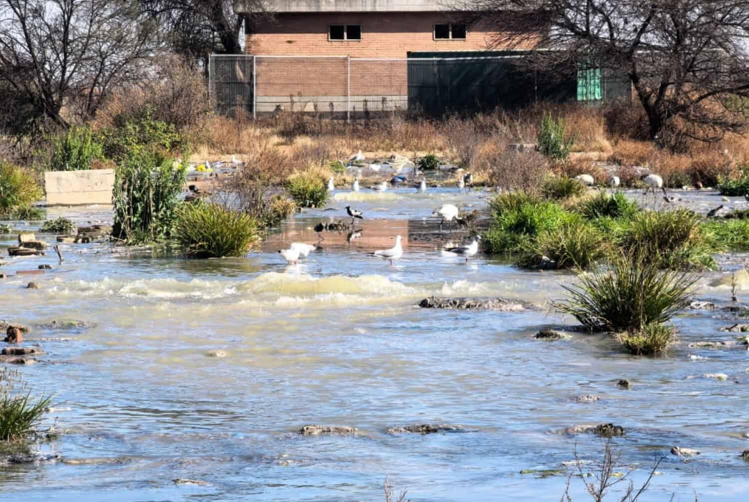 WATCH: Nancefield’s river of sewage to be referred to Public Protector