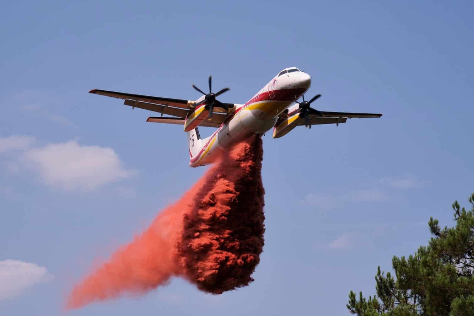 24 hours in pictures, 30 July 2026