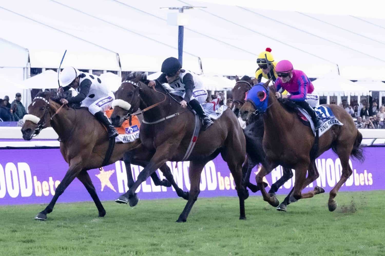 King Pelles a banker for R8m Pick 6 in Gold Cup at Greyville