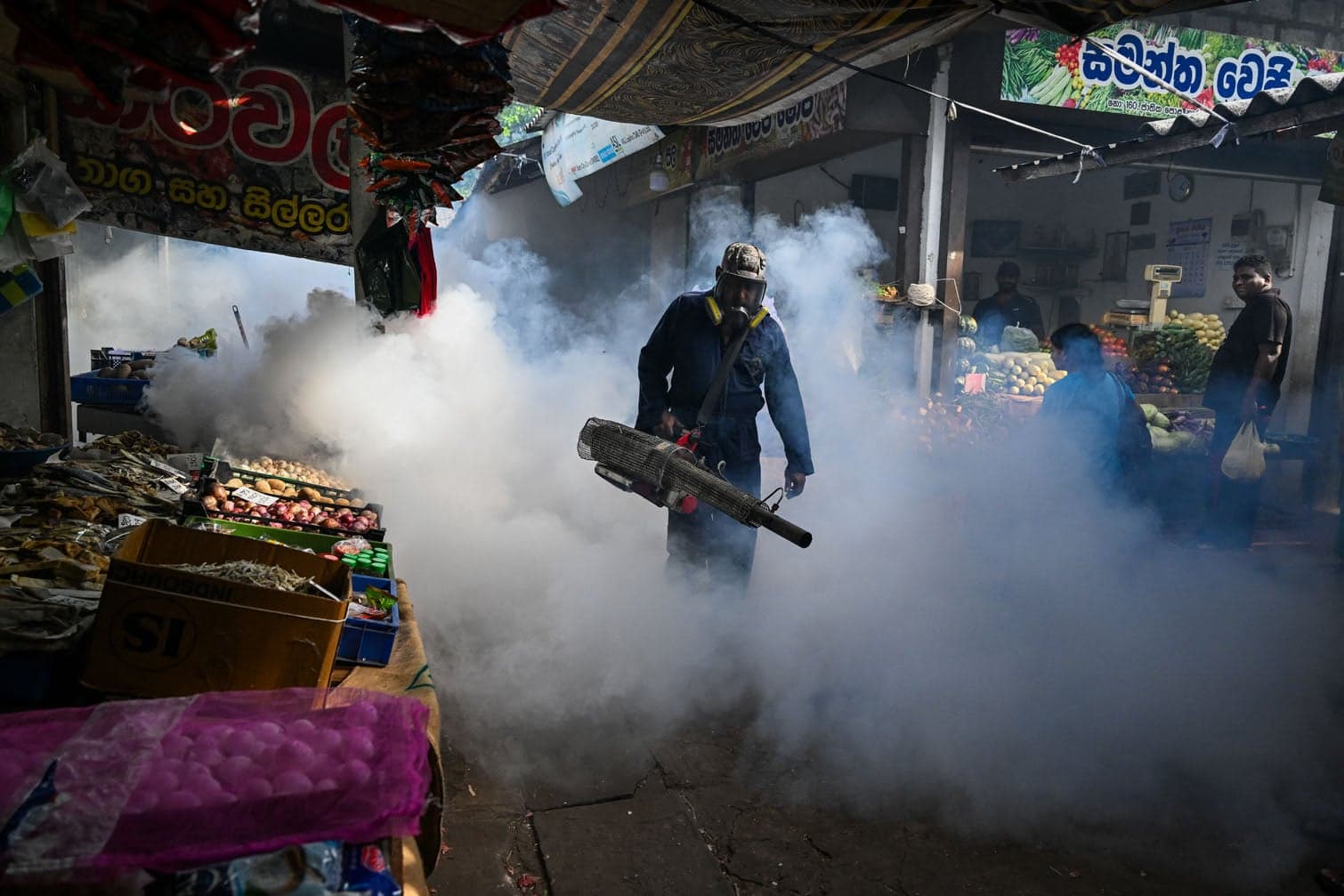 24 hours in pictures, 15 July 2026