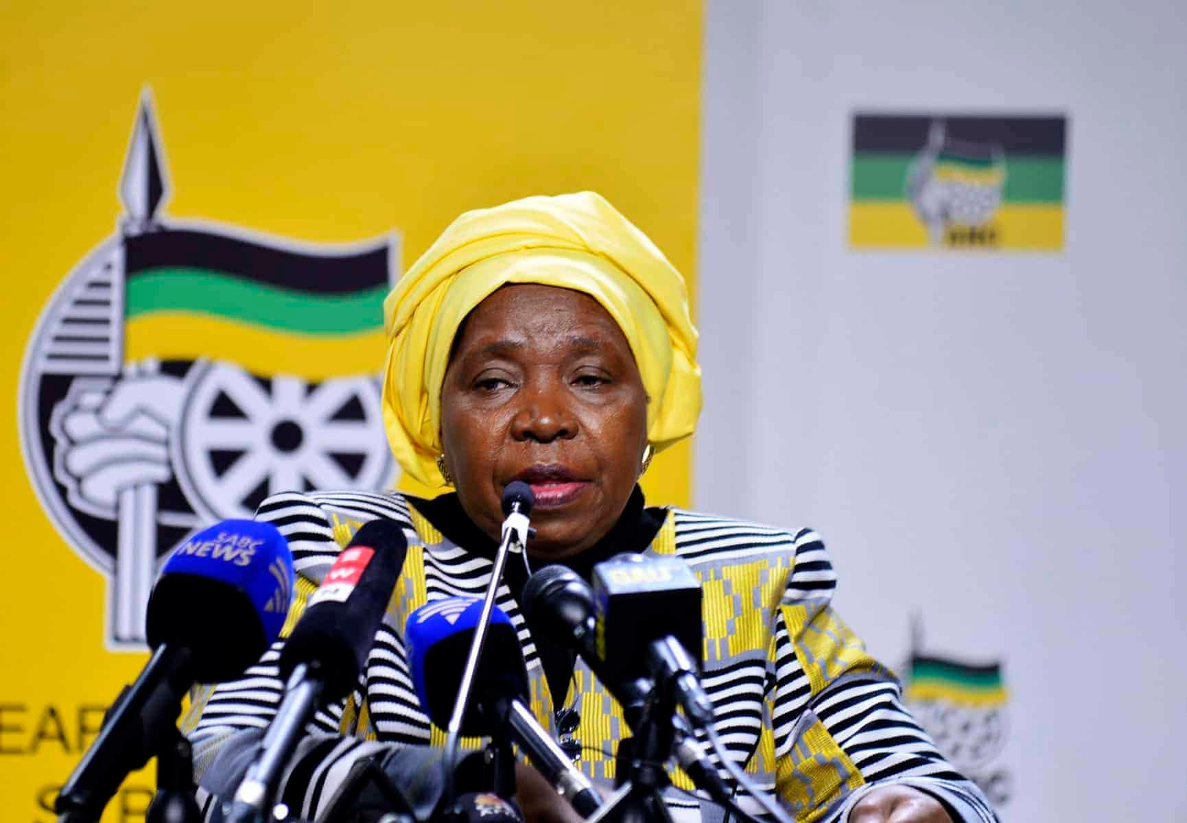 Dlamini‑Zuma apologises to Lamola in ANC vote‑buying storm