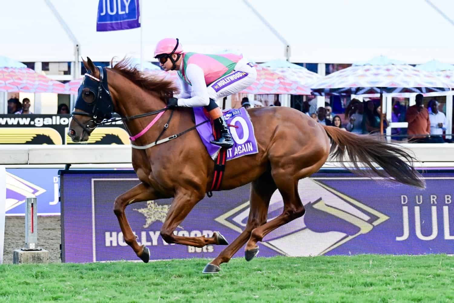 See It Again is Horse of the Year