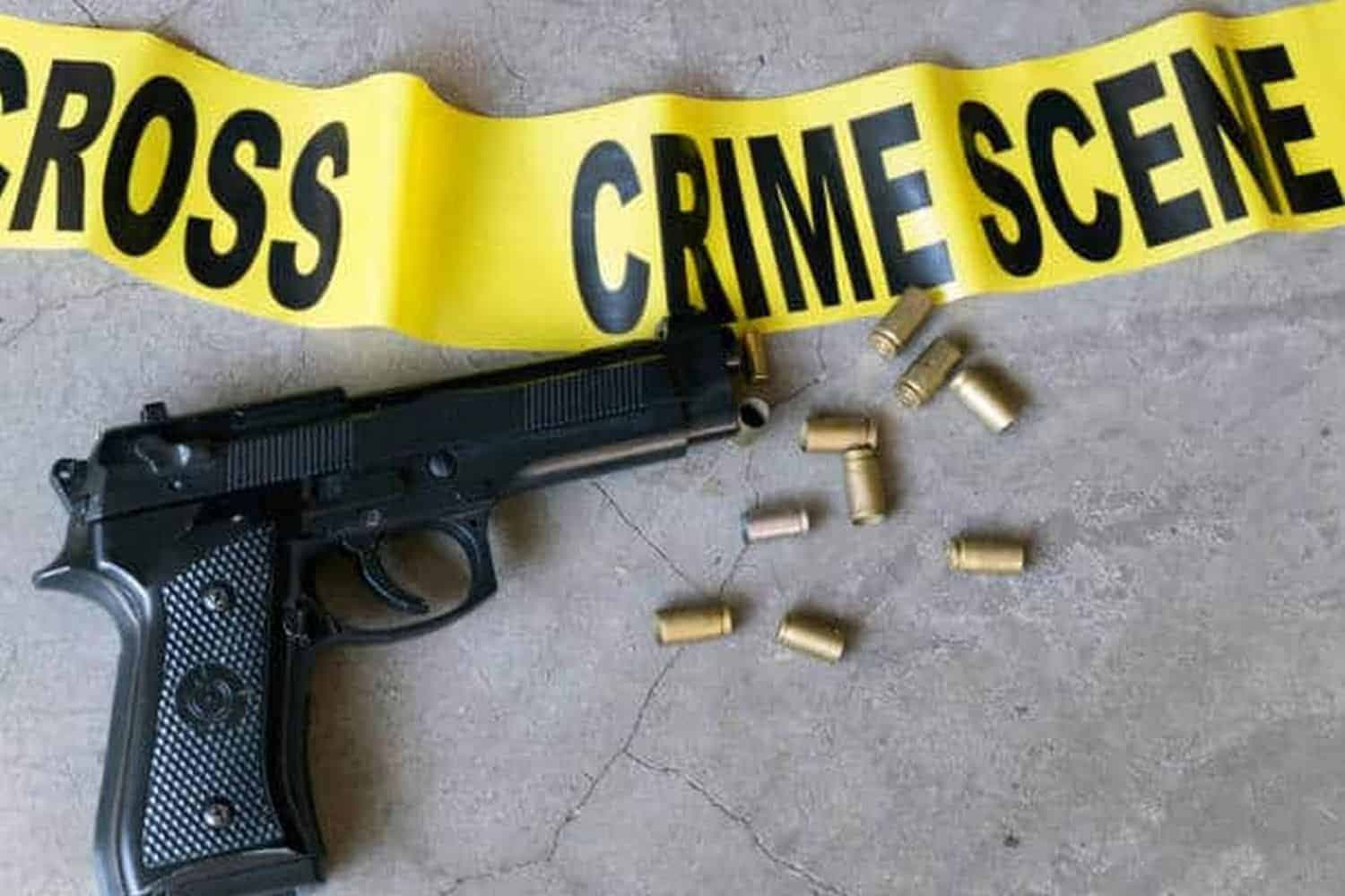 JUST IN: Deadly Knysna raid leaves police captain and suspect dead
