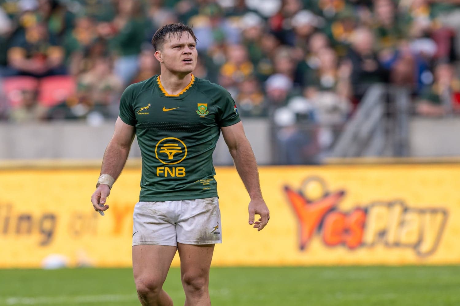 Lions get Bok boost for match against All Blacks