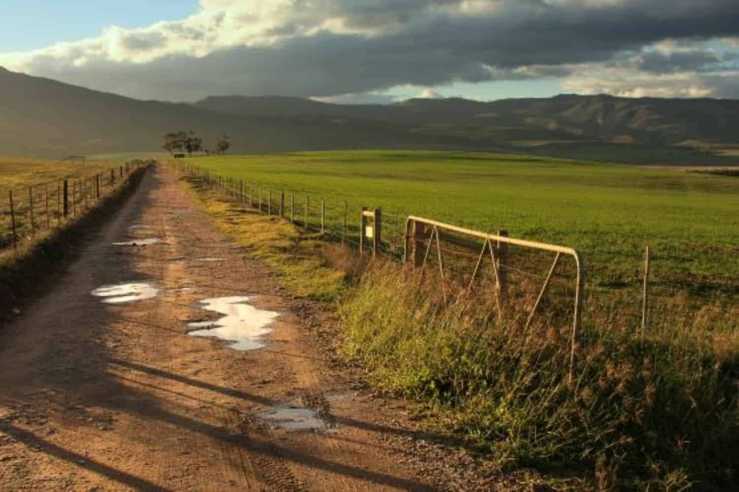 High Court showdown: DA, AfriForum, IRR challenge Ramaphosa’s Expropriation Law