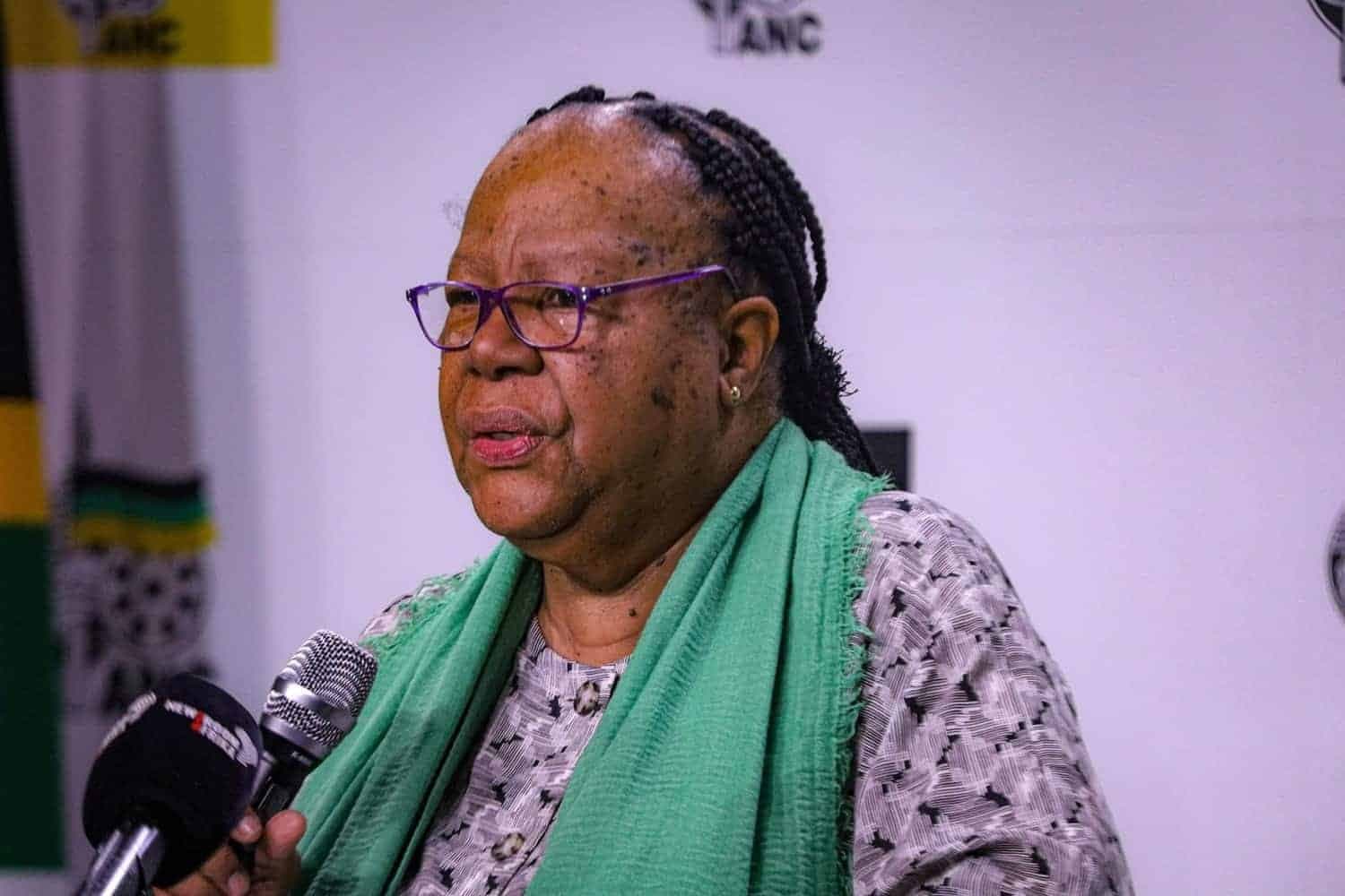 Pandor says young people in the ANC should lead Joburg… but also likes Frank Chikane