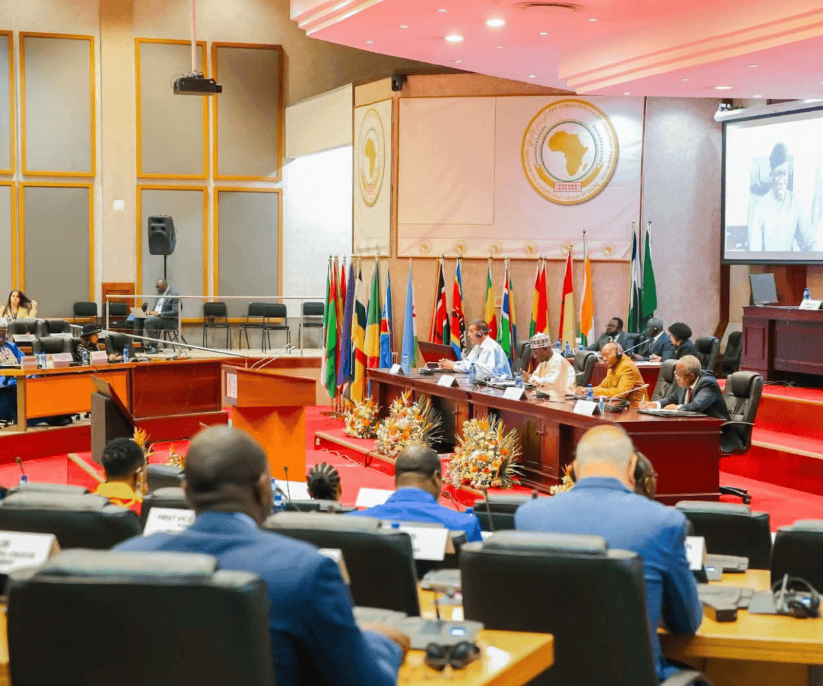 Pan-African Parliament has no meat on its bones