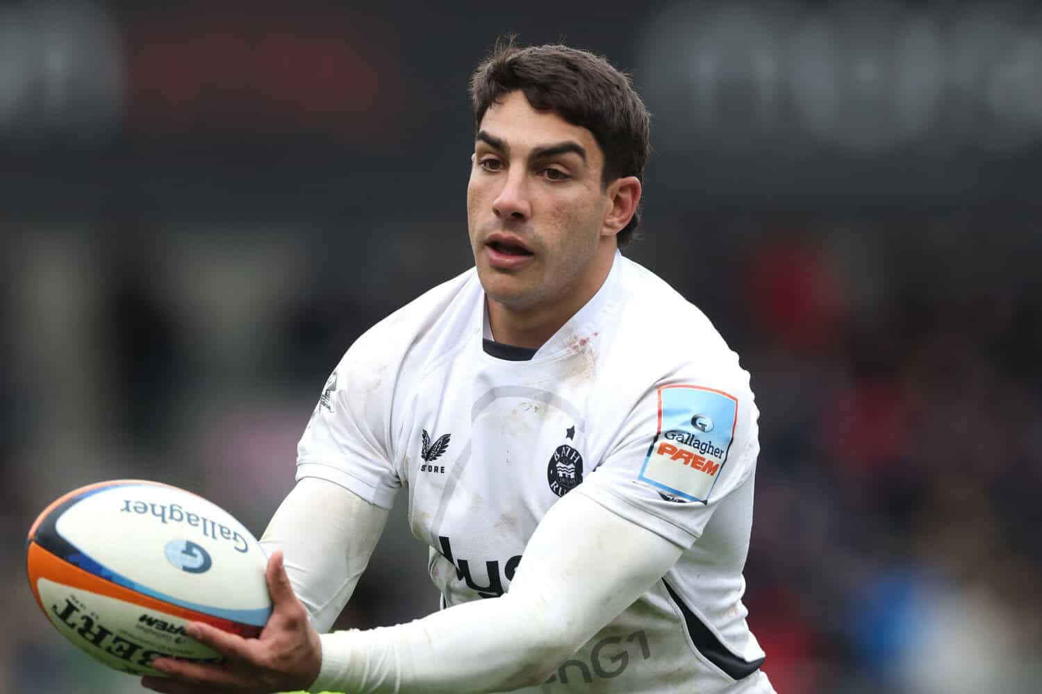 Matera to lead Pumas against Boks, Carreras at flyhalf