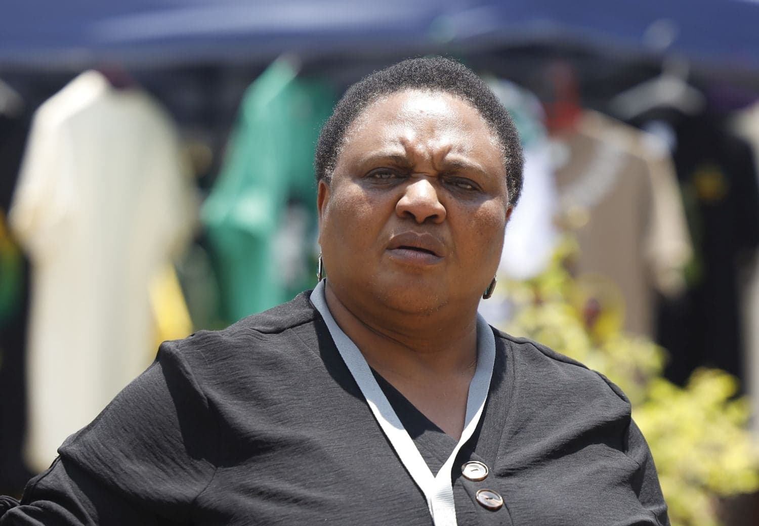 Didiza says she will not get involved in selection of evidence leader for Section 89 Impeachment Committee