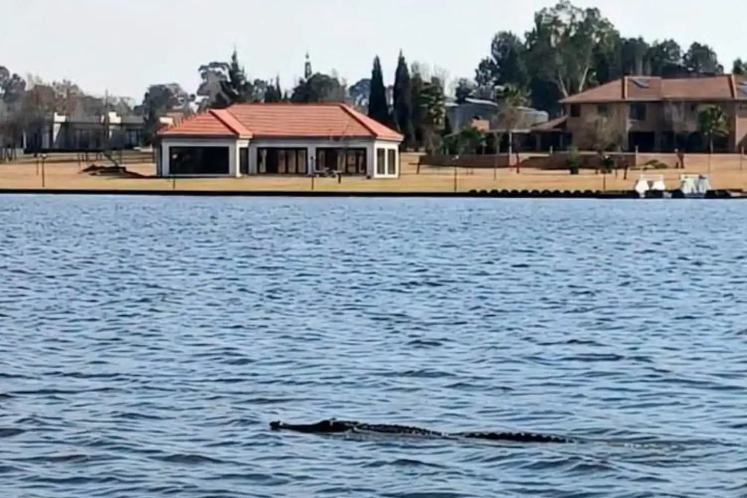 Been a while, crocodile: Vaal River croc still on the loose