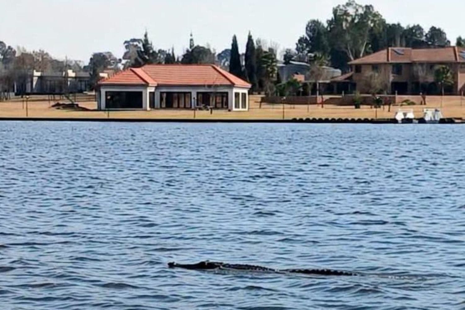 Crocodile in the Vaal: Swimming discouraged, R20k reward offered as community on the alert