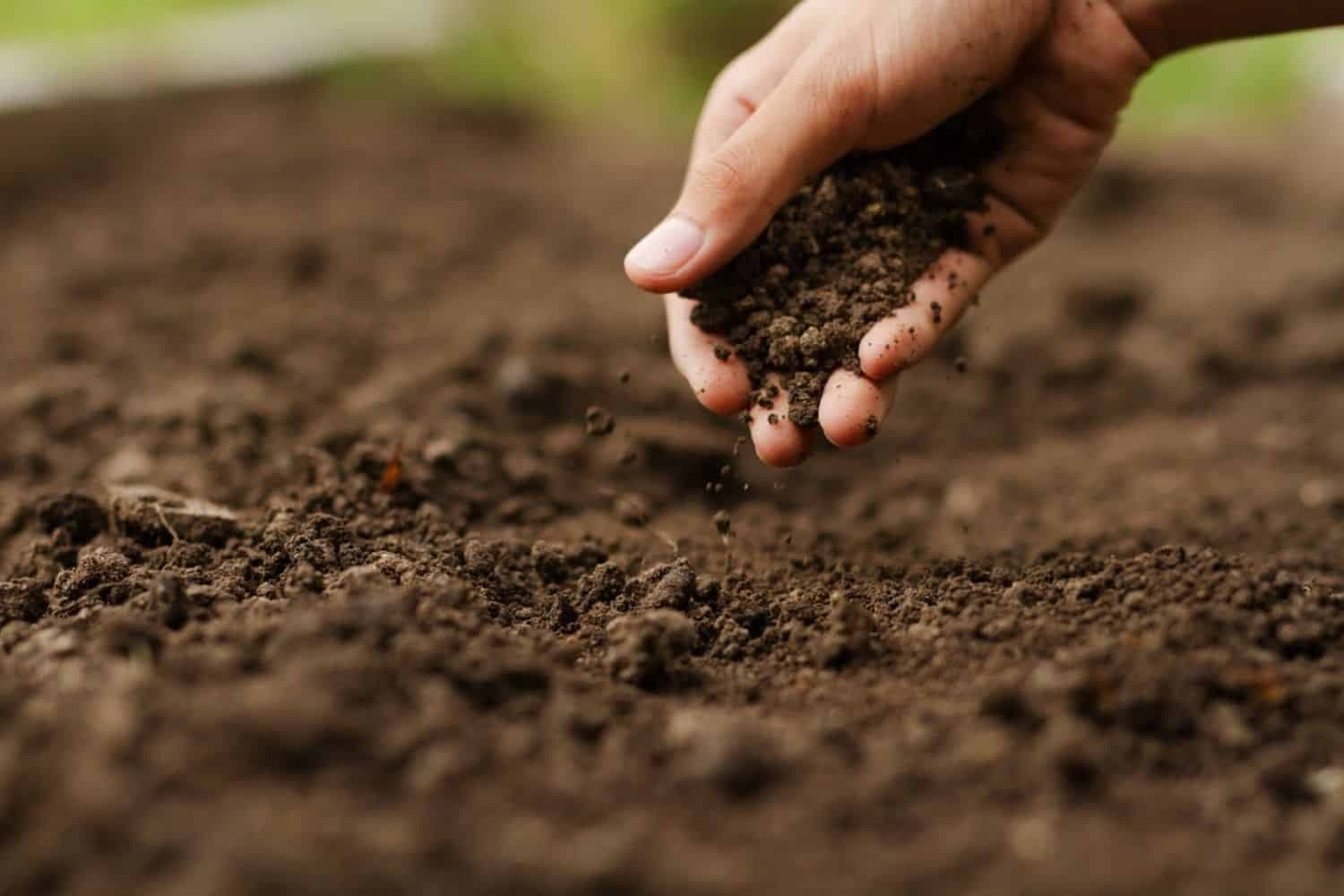 How white farmers still dominate land ownership in South Africa in spite of land reform