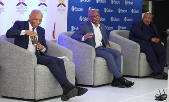 Ramokgopa implores Eskom to keep Joburg lights on despite its R7bn debt