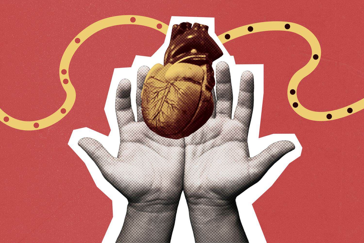 South Africans urged to register as organ donors amid transplant shortage