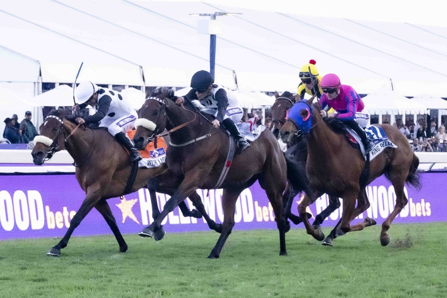 Racing set fair after 2YO Sale