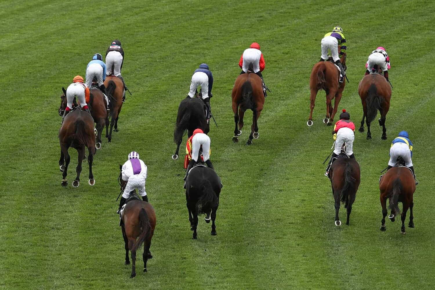 Stakes hikes lift the horse racing game