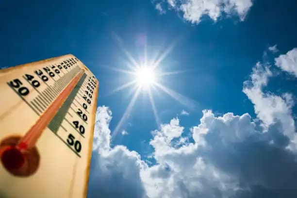 Weather alert: Frost, fog and cool conditions expected on Monday