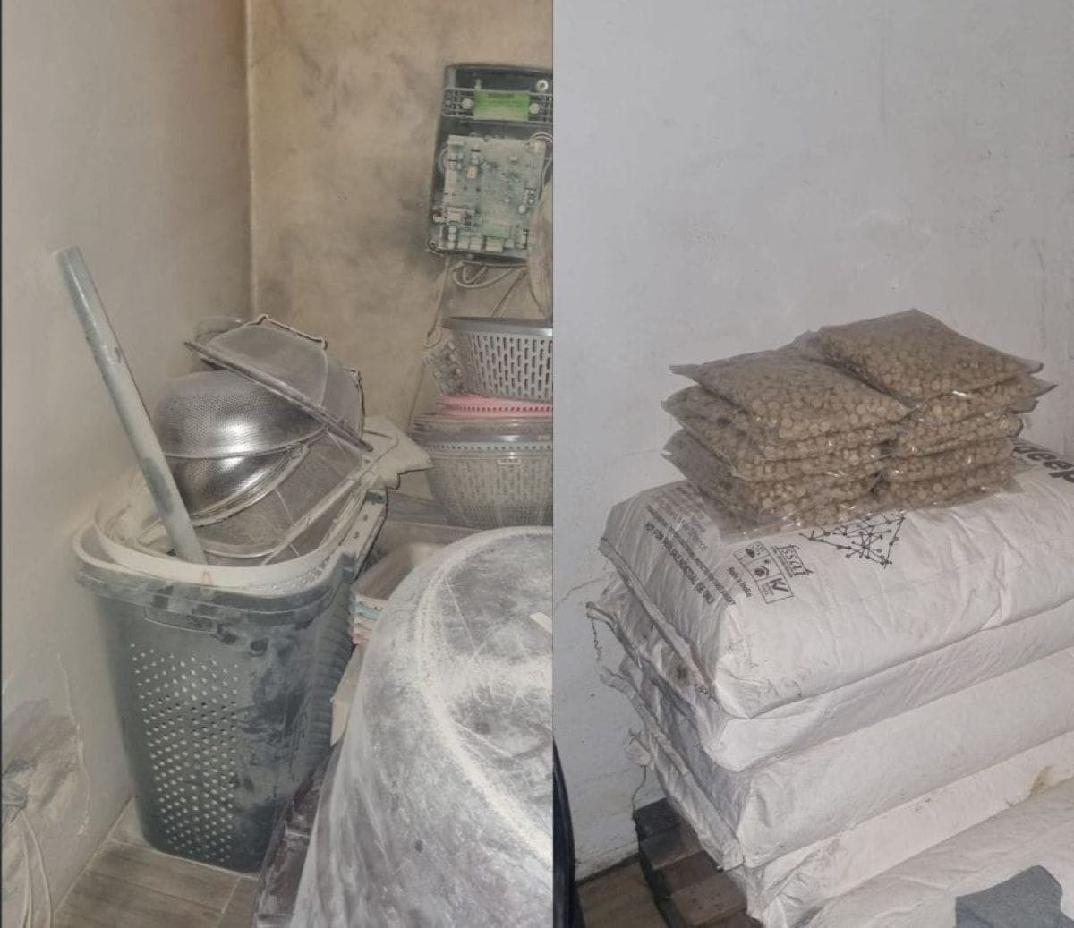 WATCH: Two foreign nationals arrested in multimillion-rand mandrax lab bust in Erasmia