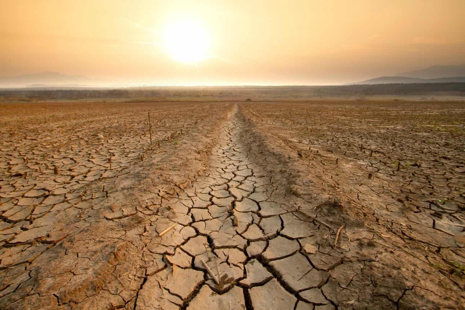 El Niño 2026-27: How agriculture department plans to protect small-scale farmers