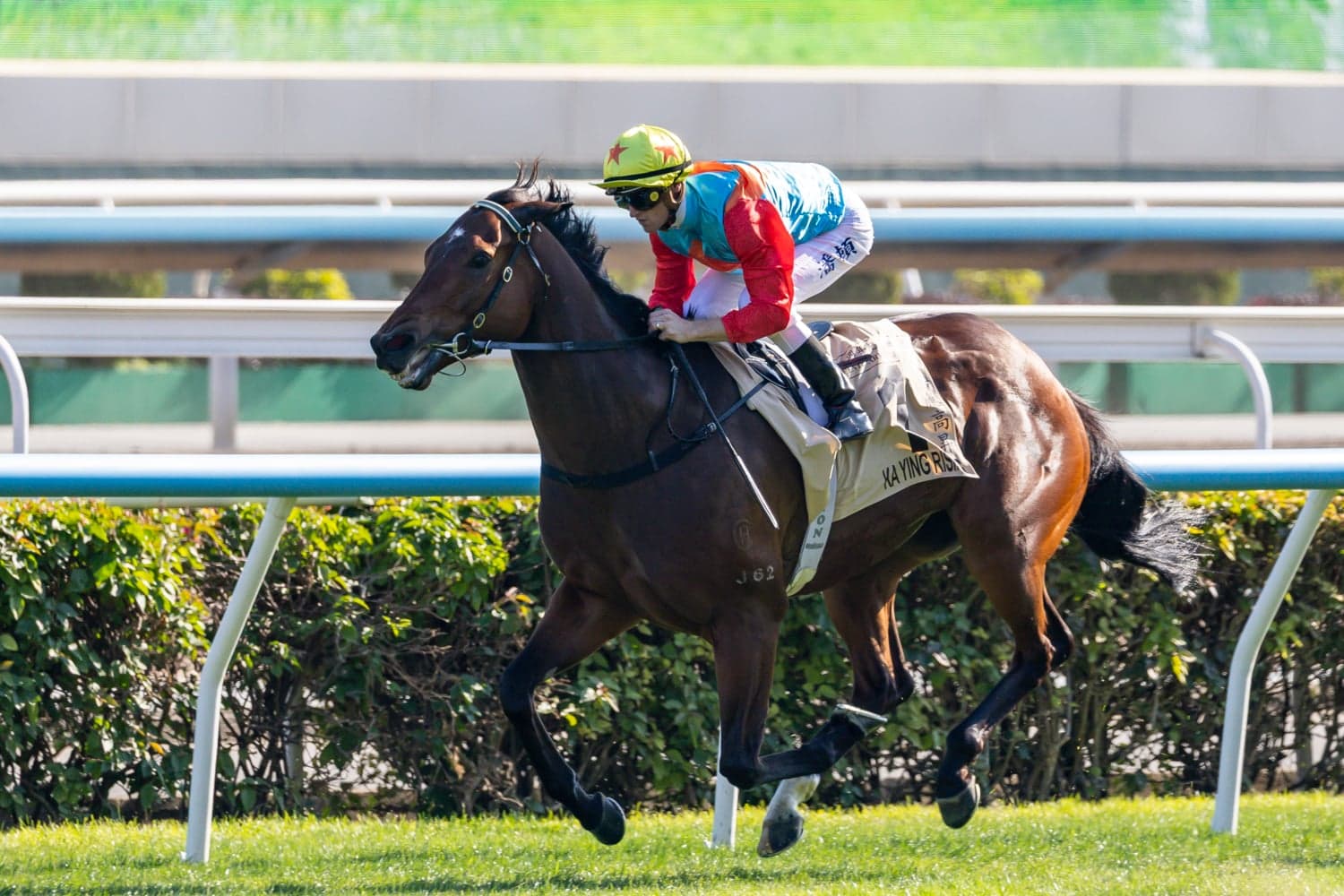 Ka Ying Rising tops bill as Hong Kong gets rolling