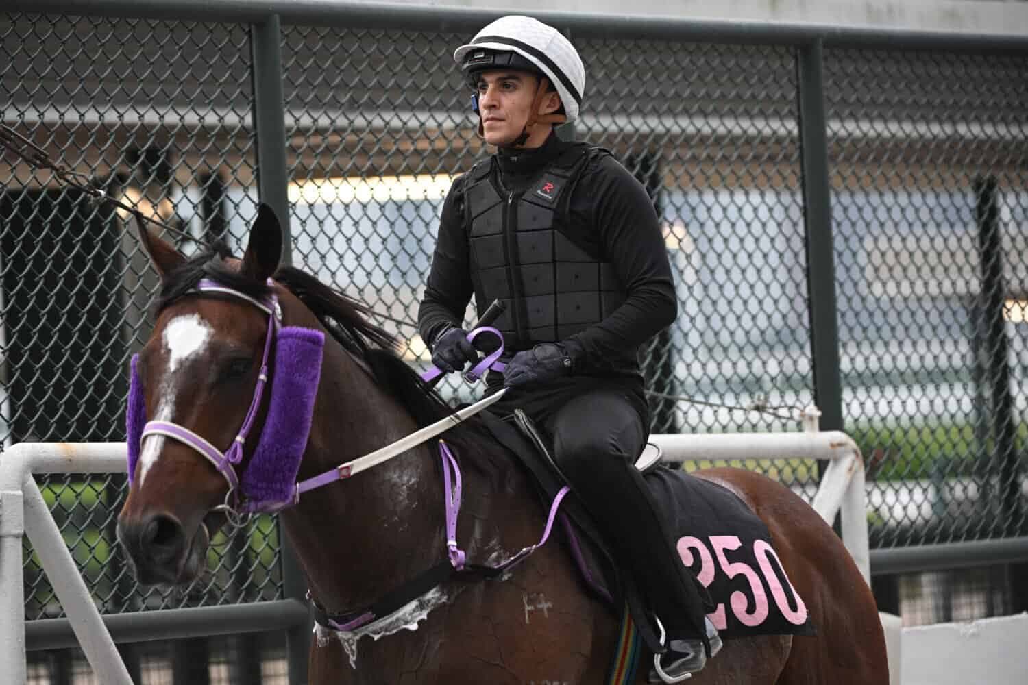 De Melo, Snaith gallop into the lead