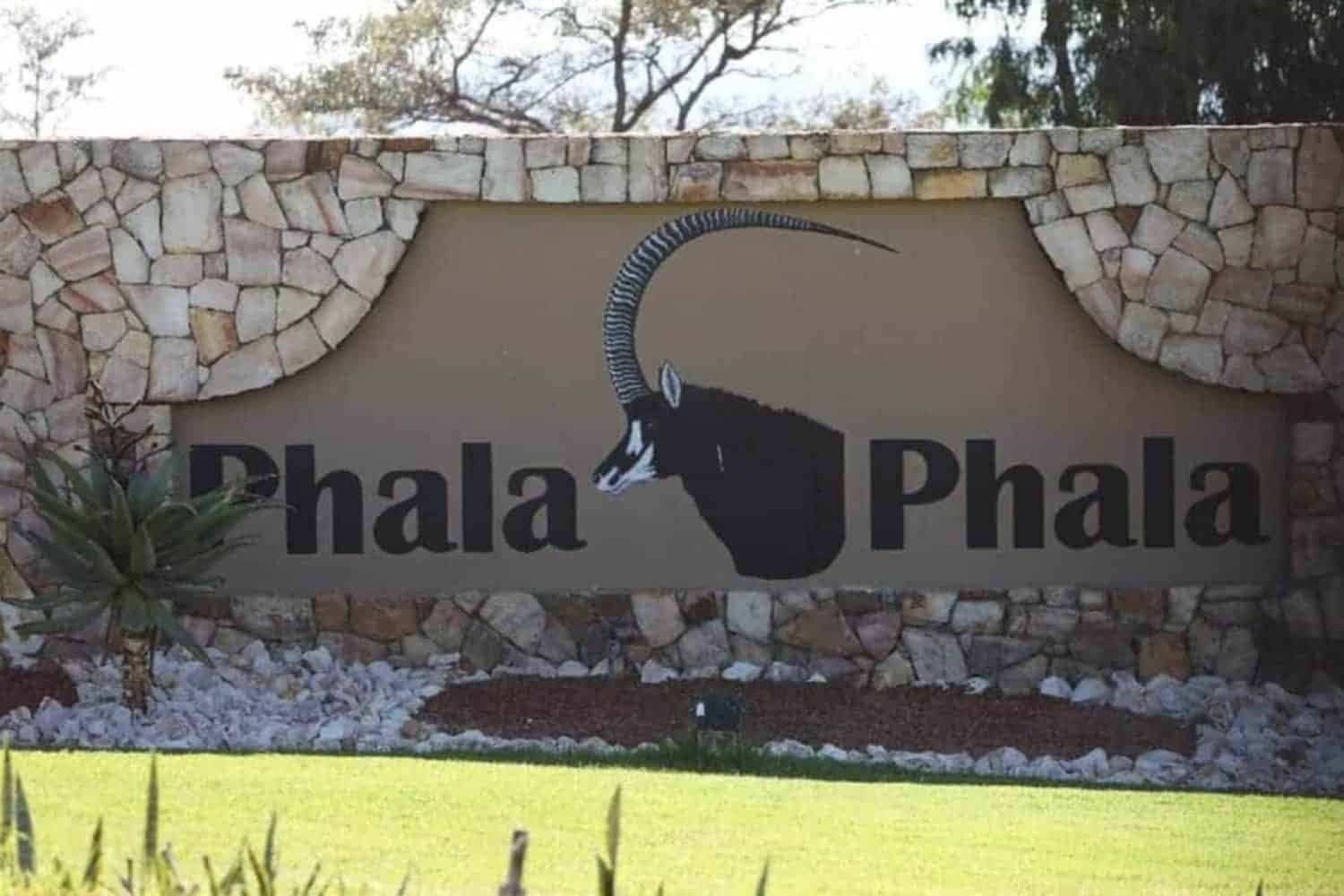 Phala Phala panel report: Court questions evidence that Ramaphosa engaged in paid work
