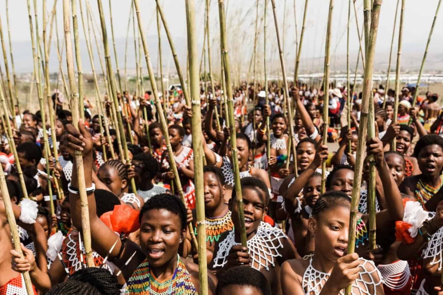 Drunk driver leaves reed dance maiden with fractured leg