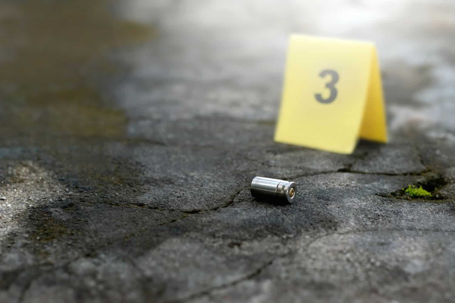Manhunt launched after scholar transport driver shot dead in Westbury