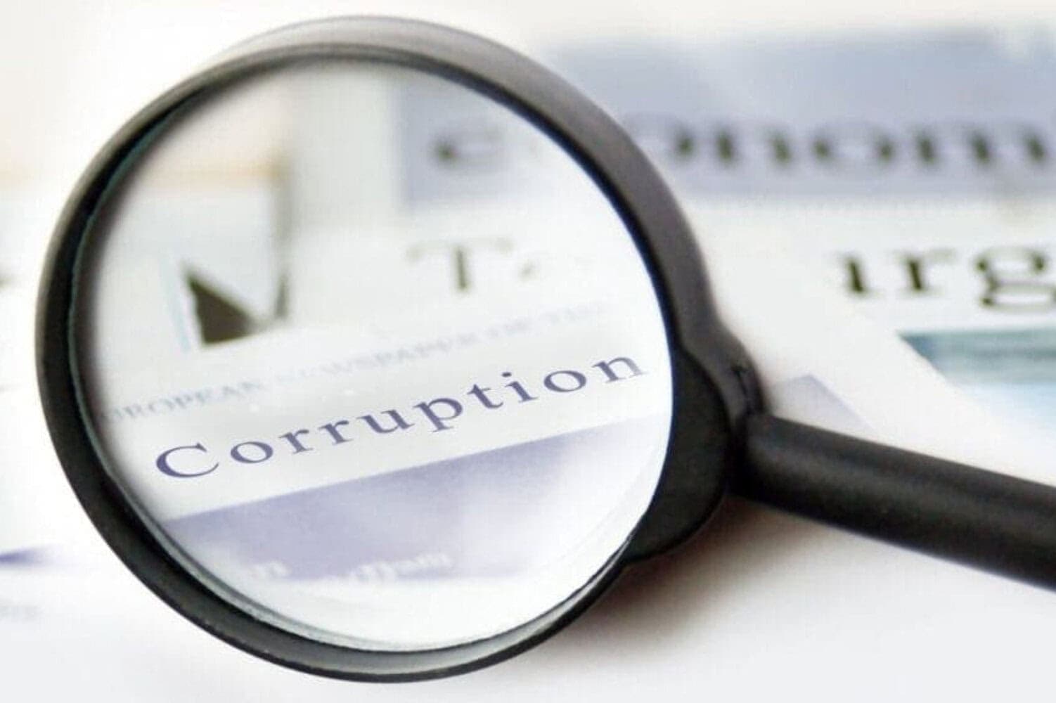 Find out what the SIU discovered about government tender scams