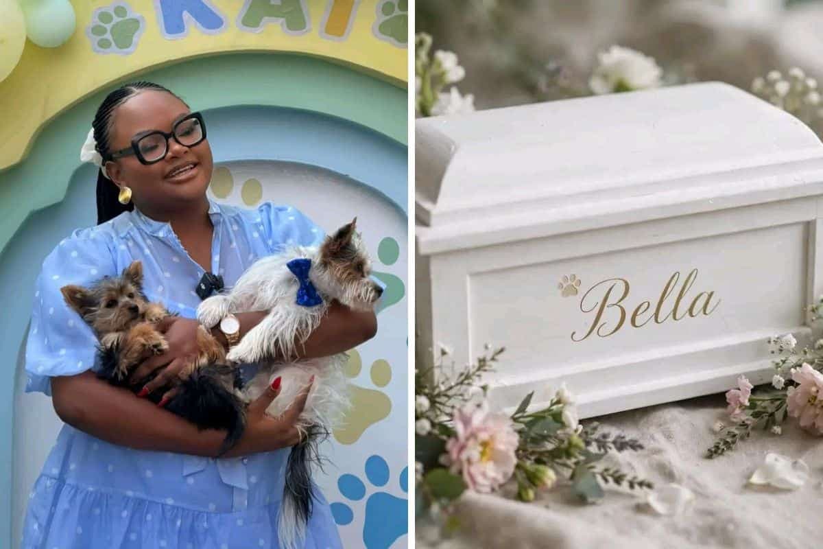 ‘SPCA needs to investigate’: Mixed reactions as Grace Mondlana shares how her puppy died
