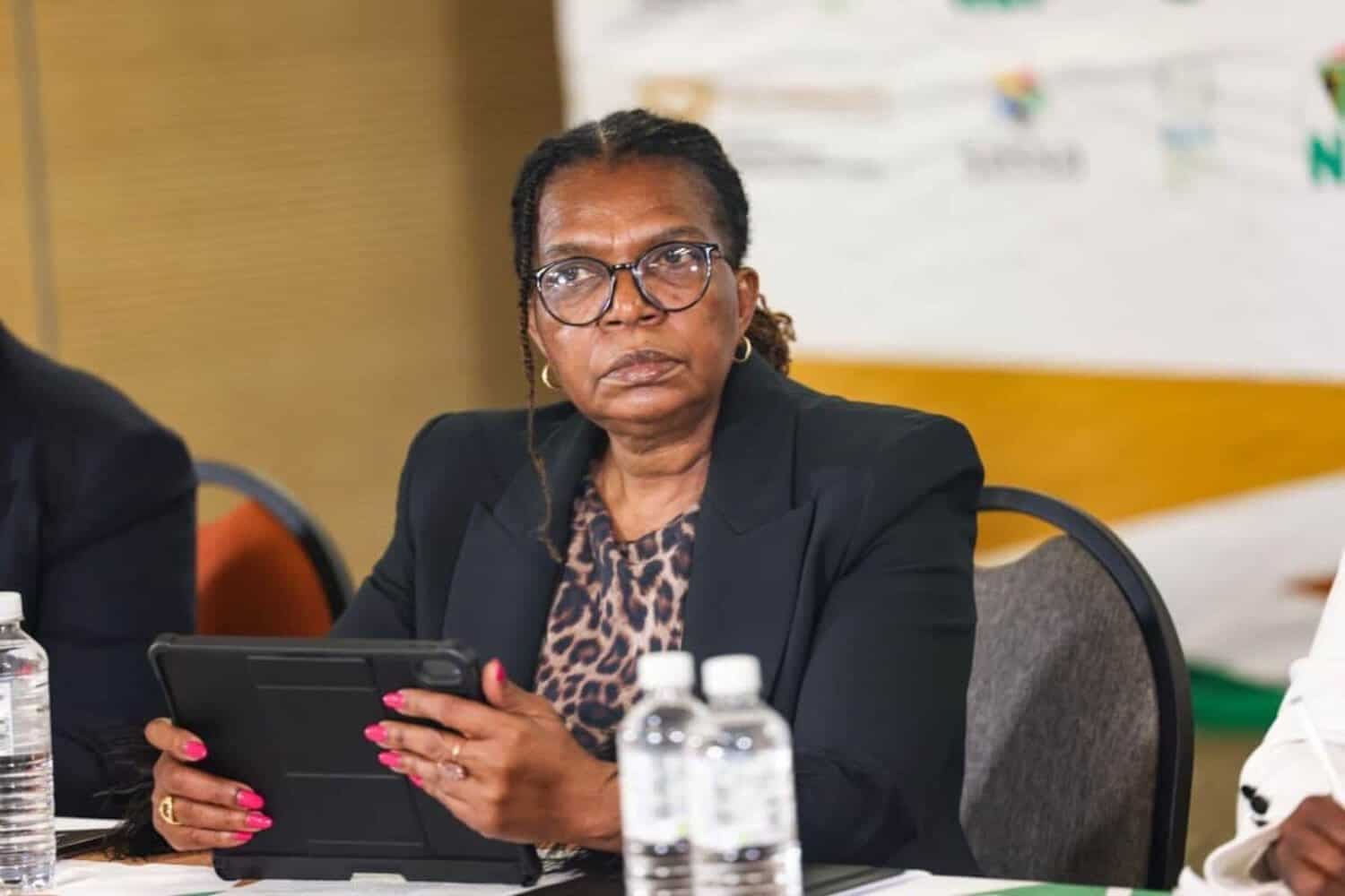 South Africa commits to seven breakthrough areas to end violence against children