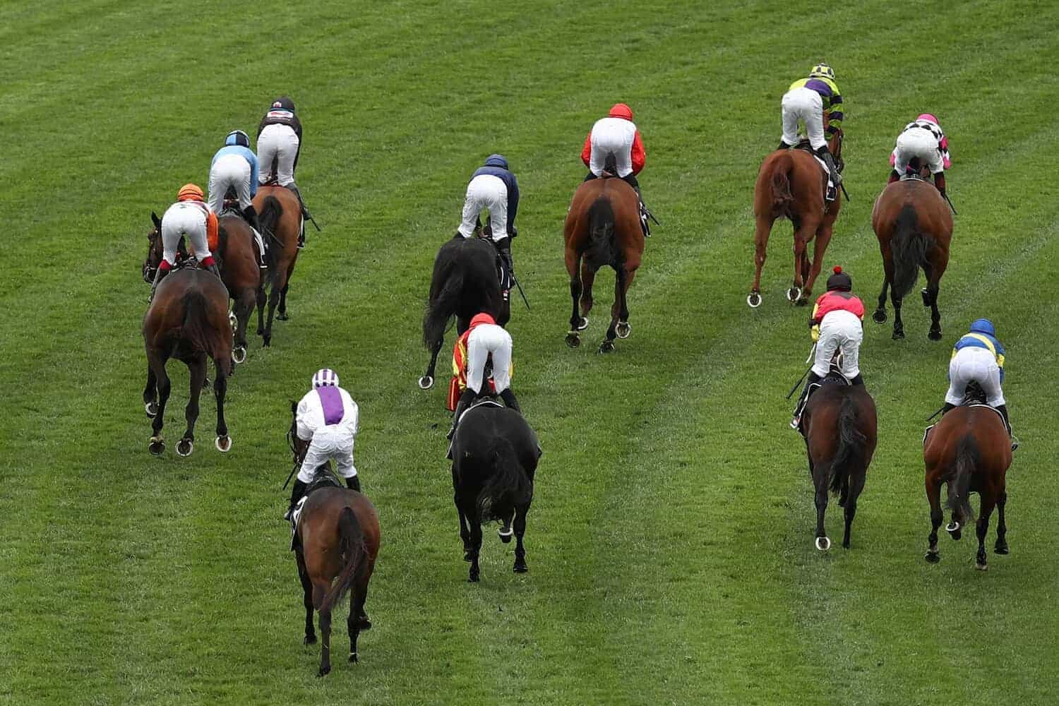 New GPS tech could shake up the local punting scene