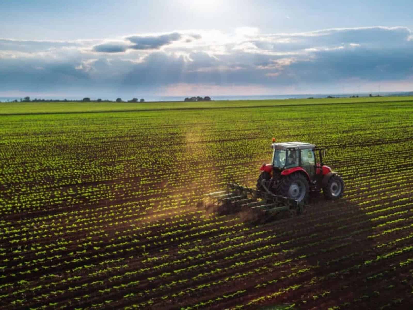 Elections 2026: What the ANC, DA, EFF and MK party say on land
