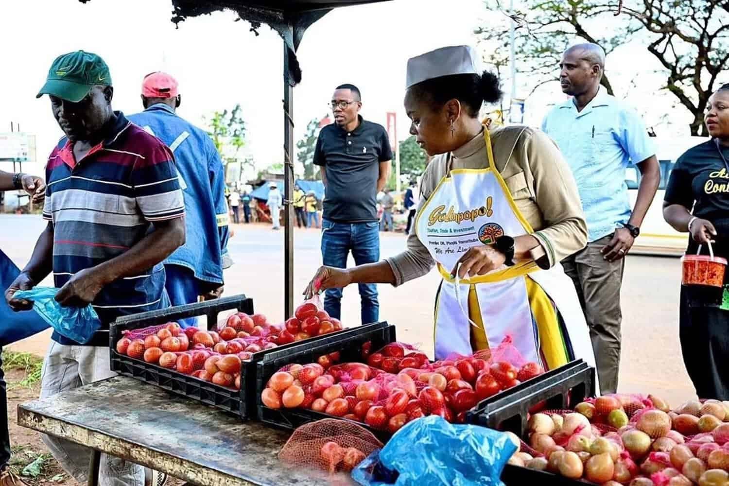 ‘They have forgotten we exist’: Limpopo entrepreneurs frustrated ahead of November polls