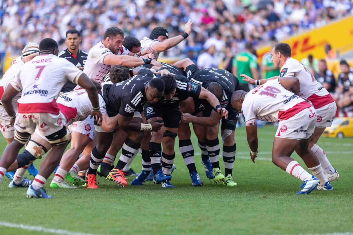 Scrum wars: ‘I didn’t expect it so easy,’ says Stormers’ Dobson