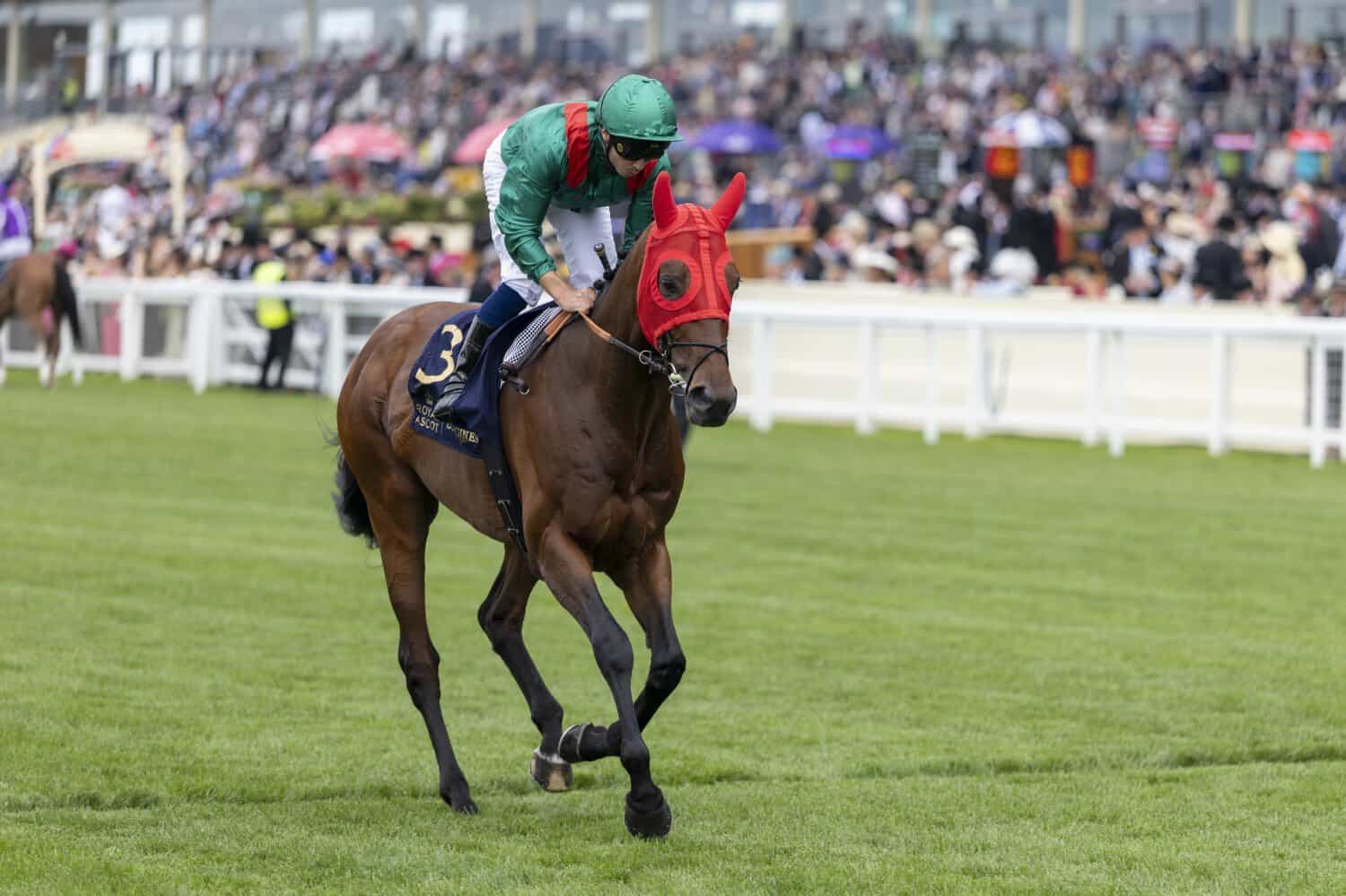 The greatest race: All eyes turn to the Arc this weekend