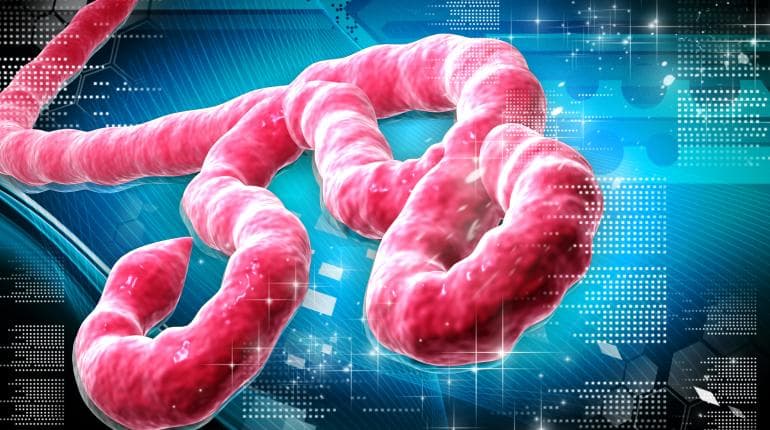 CEPI begins first human trial of Bundibugyo Ebola vaccine