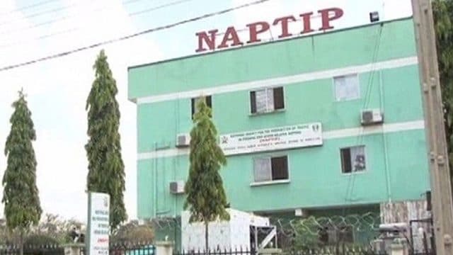 Bauchi records 70 human trafficking cases, three convictions – NAPTIP