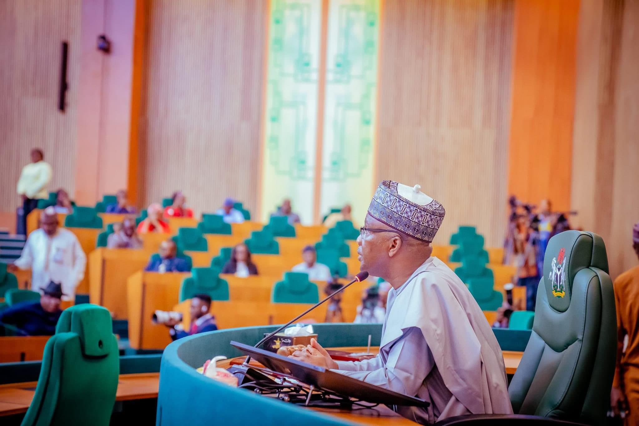 Reps rescind earlier state police vote, begin fresh consideration of Tinubu’s bill